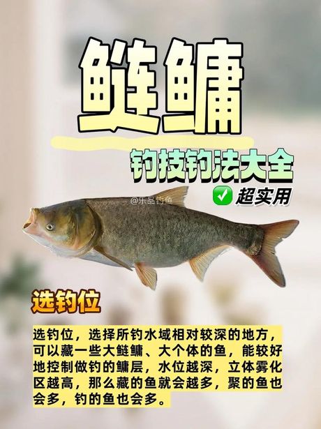 鲢鱼钓法，鲢鱼钓法详解