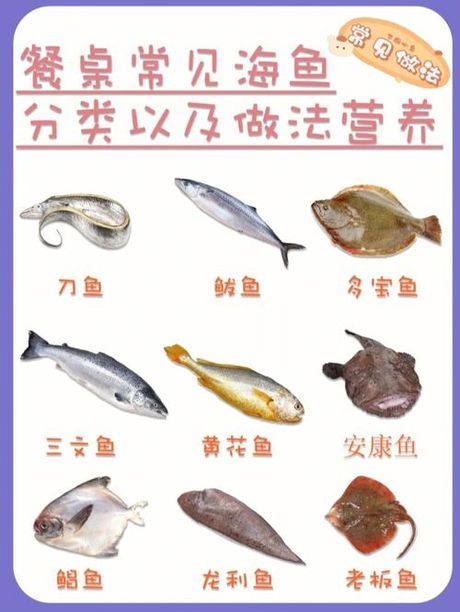 海鱼烹饪指南：简单又美味