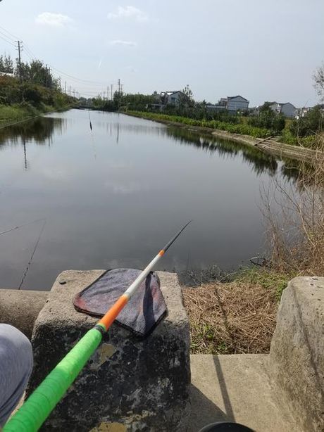 钓鱼：古老技艺的现代魅力