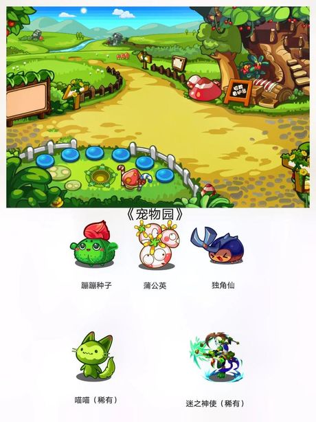 洛克王国宠物训练室在哪里