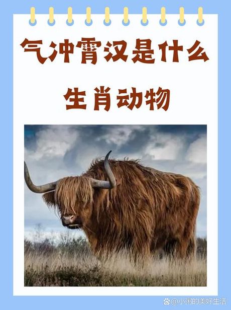 气冲斗牛的意思是什么