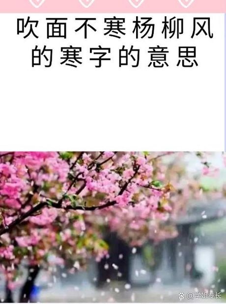 吹面不寒杨柳风的意思