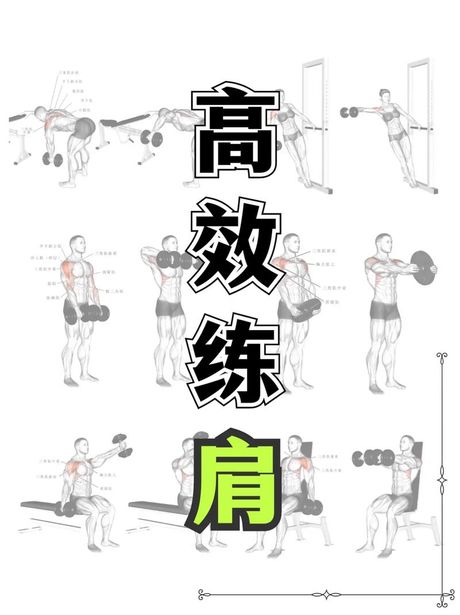 如何有效练宽肩膀