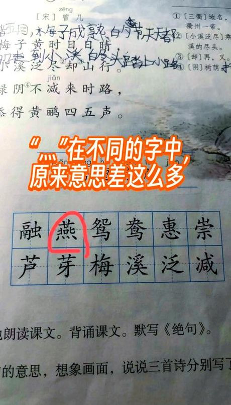 浥怎么读，“浥”字的读音与意义解析