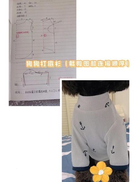 狗狗衣服怎么做，狗狗衣服制作全攻略