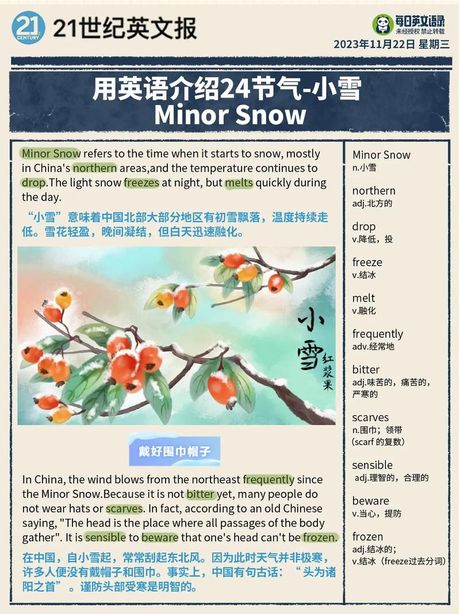什么是“Snowy”？