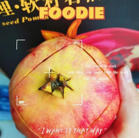 石榴英语怎么读：探索Pomegranate的奥秘