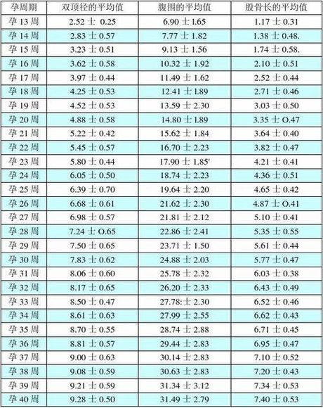 顶臀径：了解胎儿发育的重要指标