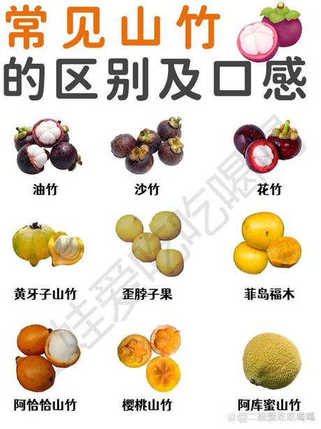 山竹：热带水果之王的生长奥秘