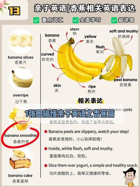香蕉用英语怎么写，香蕉的英文单词及其用法