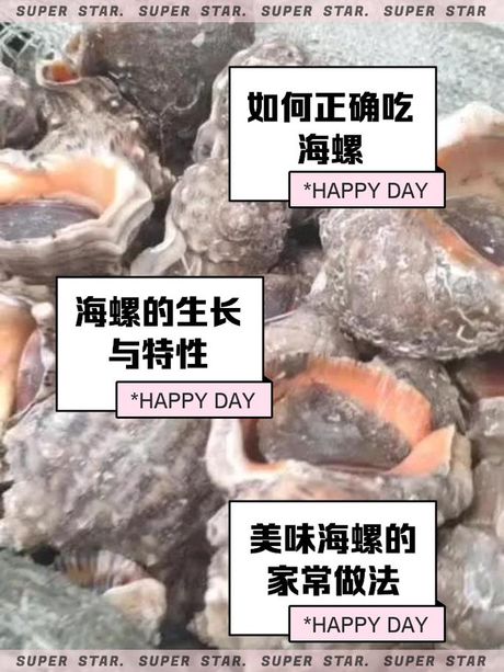 海螺清洗指南：确保美味与卫生