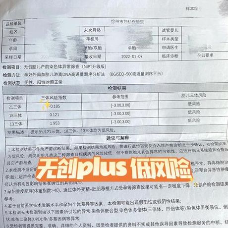 任性用贷款：了解风险，明智选择