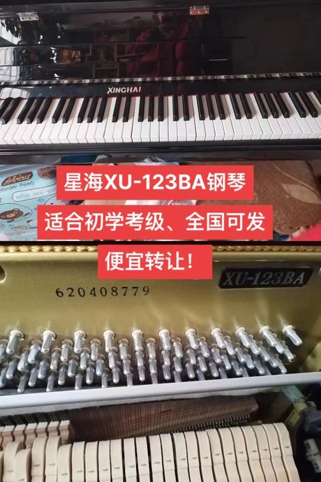星海钢琴：百年传承，音乐之魂