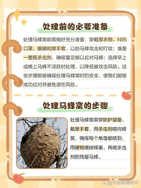 马蜂窝怎么处理，马蜂窝的正确处理方法