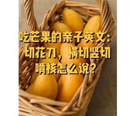 芒果用英语怎么说，芒果的英文单词及其文化意义