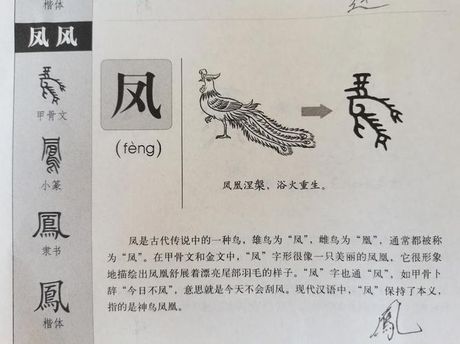 涅盘怎么读