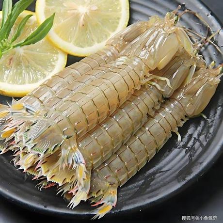 皮皮虾：从海洋到餐桌的美味之旅