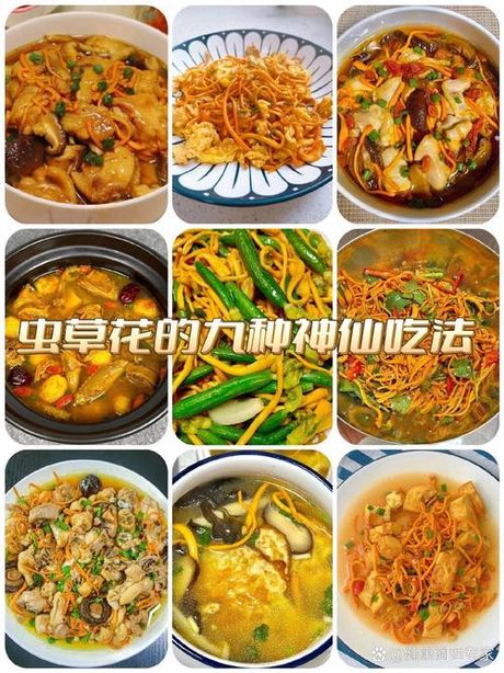 虫草花的吃法大全