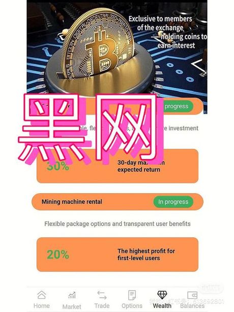 黑网揭秘：深藏互联网背后的秘密世界