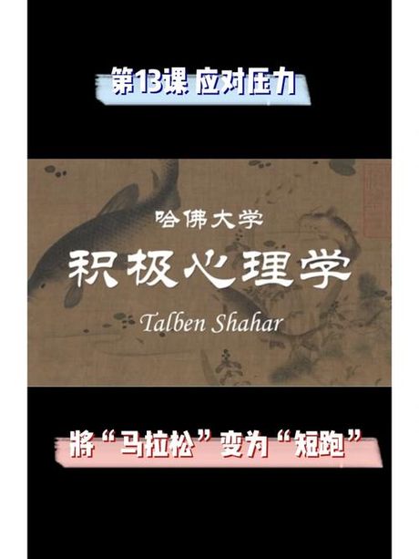 不胜负荷：理解与应对现代生活的压力