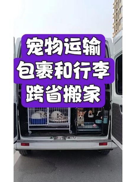 长途汽车可以带宠物吗？