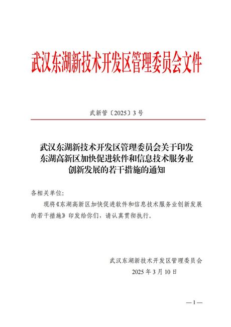 东湖高新政务网：科技创新与政策支持