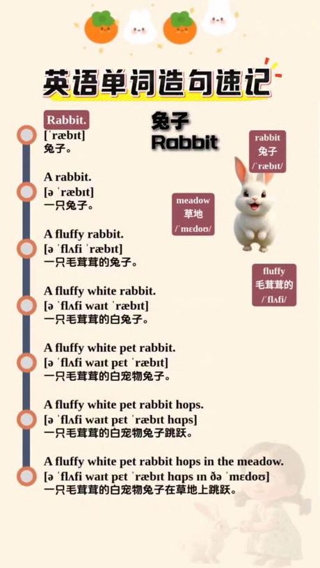 兔子的英文怎么读，兔子的英文发音指南