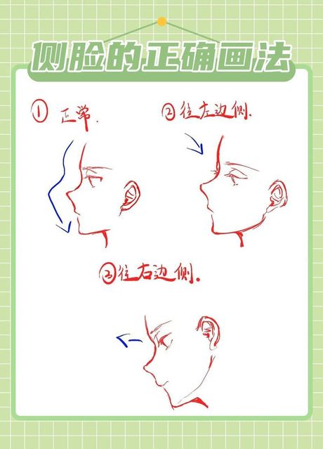 侧脸怎么画：技巧与步骤