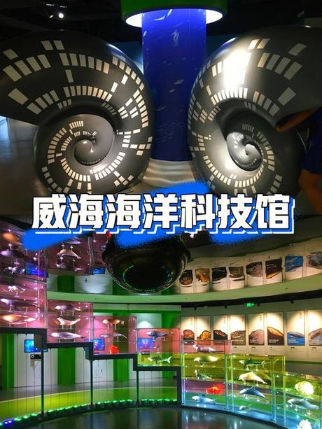 威海特产：海洋与土地的珍宝