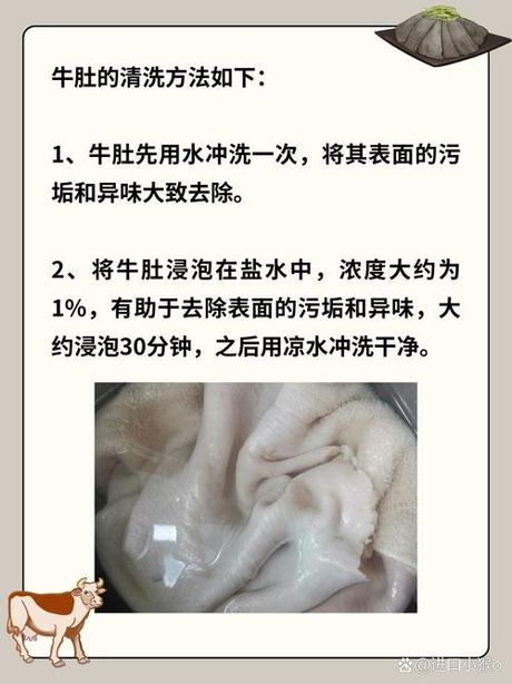 牛肚怎么清洗，牛肚清洗技巧全解析