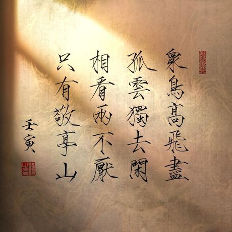 相看两不厌，只有敬亭山的意思