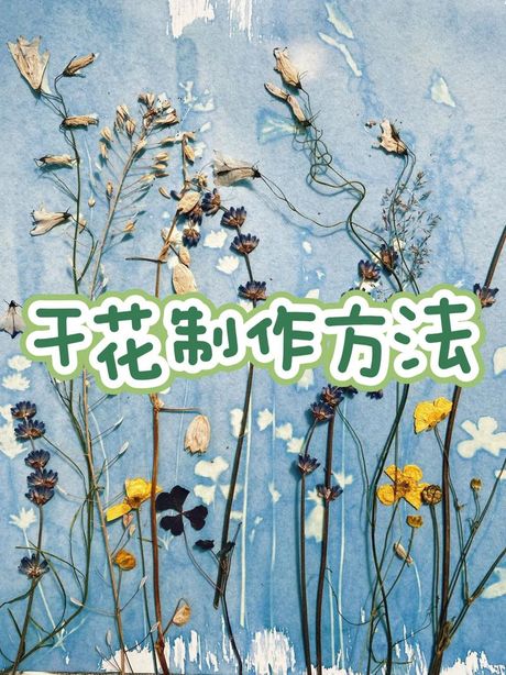 干花怎么保存，如何保存干花