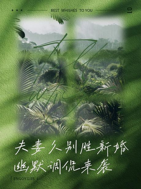 宠幸是什么意思