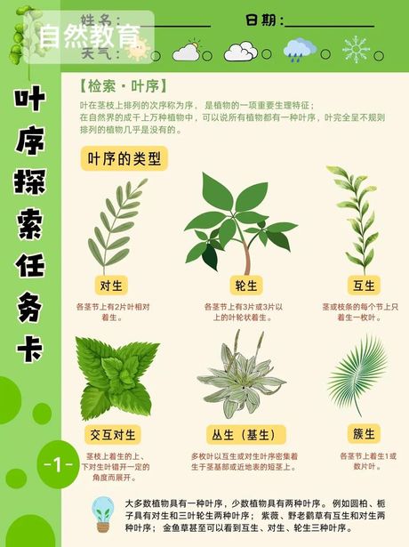 植物与种植：探索“Plant”的双重含义