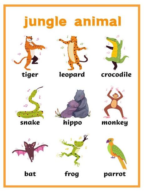 Frog读法解析
