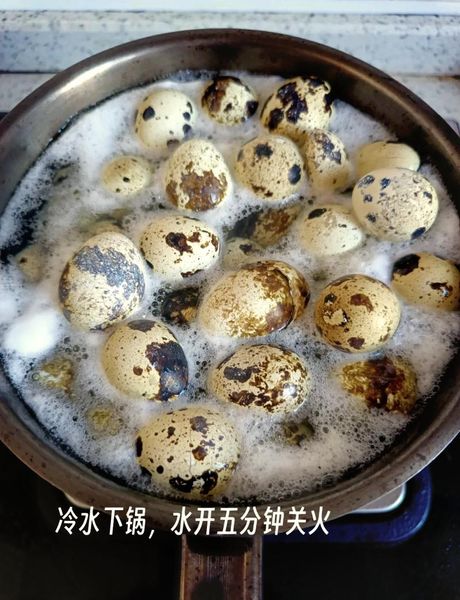 鹌鹑蛋煮多久能熟