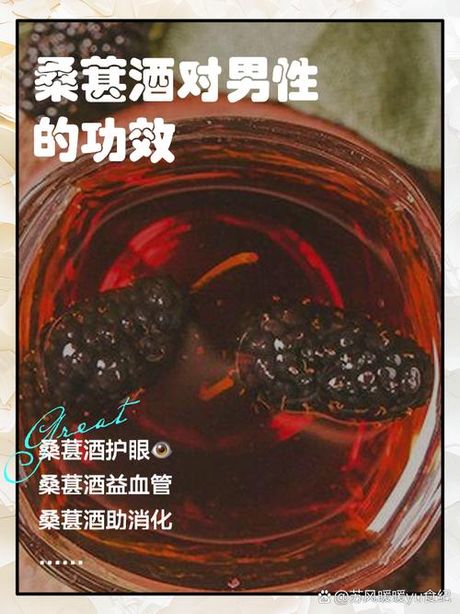 桑葚干泡酒：比例与功效