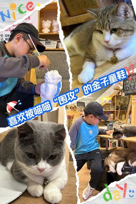 赶脚是什么意思