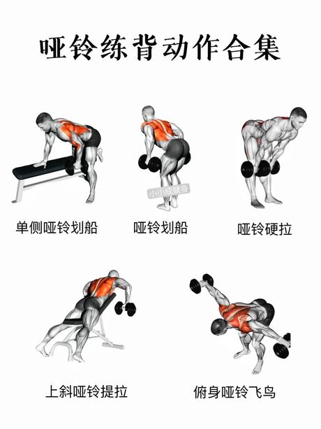 哑铃怎么练腹肌，哑铃锻炼腹肌的科学方法与实用建议