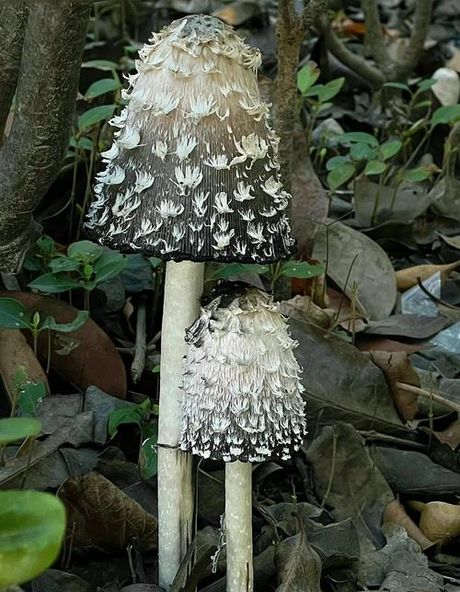 旮旯：角落里的趣味科普