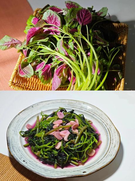苋菜怎么炒：美味与营养兼得