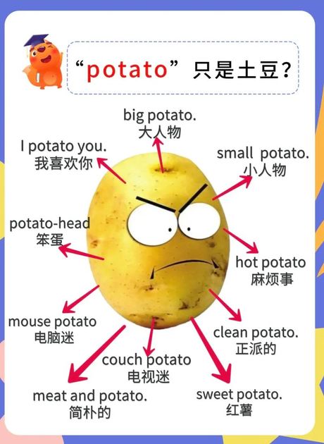 土豆用英语怎么说，土豆的英文释义