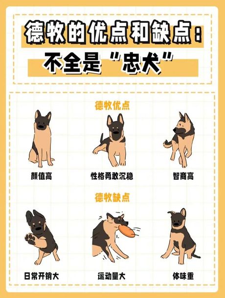 狗为什么忠诚