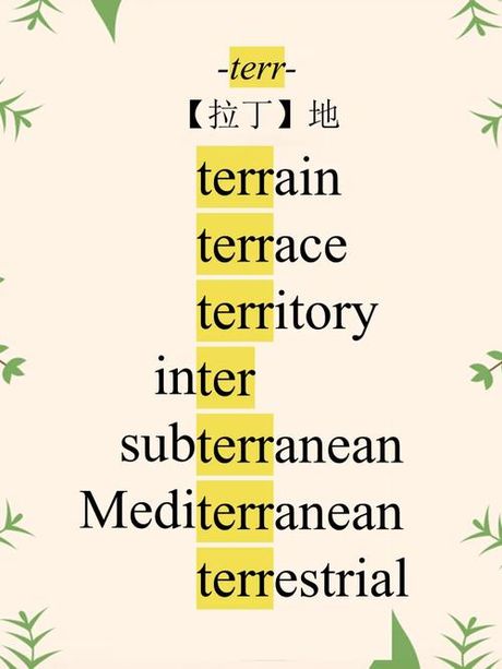 如何读“terry”