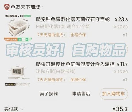 我的世界海龟蛋怎么孵化，《我的世界》海龟蛋孵化指南