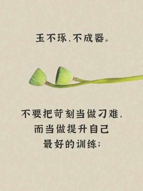 玉不琢不成器：探秘“器”的含义