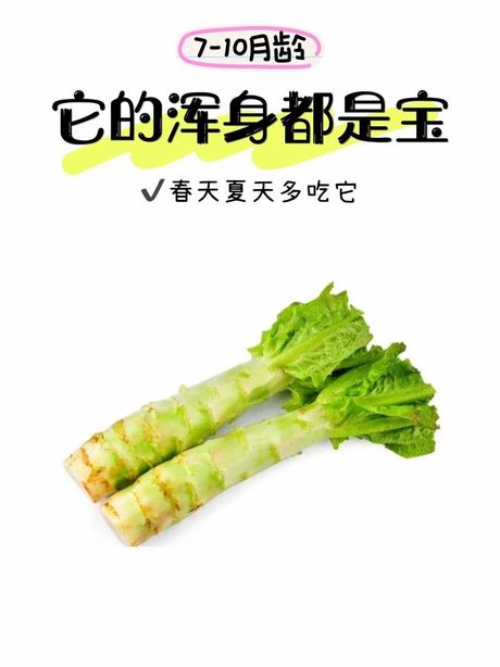 莴苣可以生吃吗？