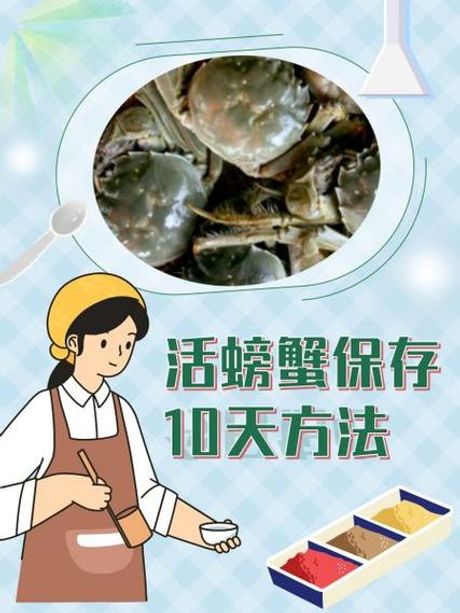 活螃蟹怎么保存到第二天