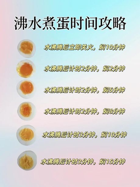 煮蛋器煮蛋要多久，煮蛋器煮蛋时间探秘