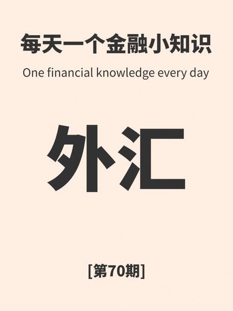 金融外汇工作揭秘